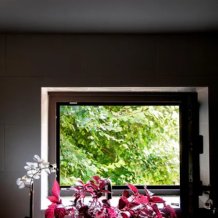 Casa D'mina Landhuis