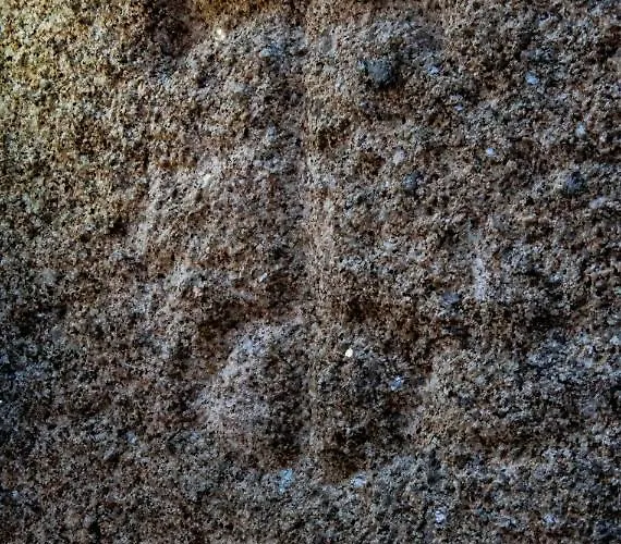 Casa D'mina Kır Evi